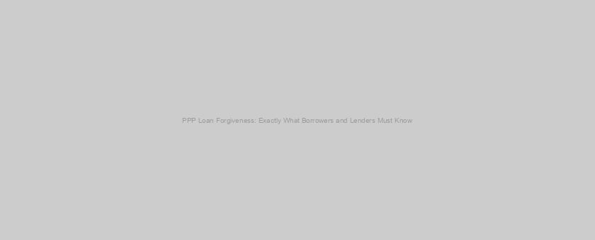 PPP Loan Forgiveness: Exactly What Borrowers and Lenders Must Know